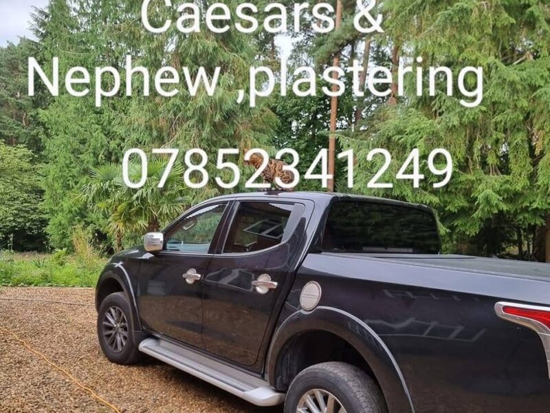 Profesjonalne plastrowanie