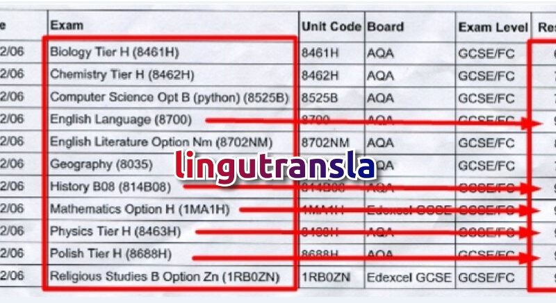 Skuteczne Korepetycje Online i Digital Marketing po angielsku i polsku